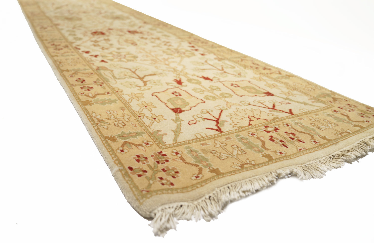 40051 Indo-Agra Runner