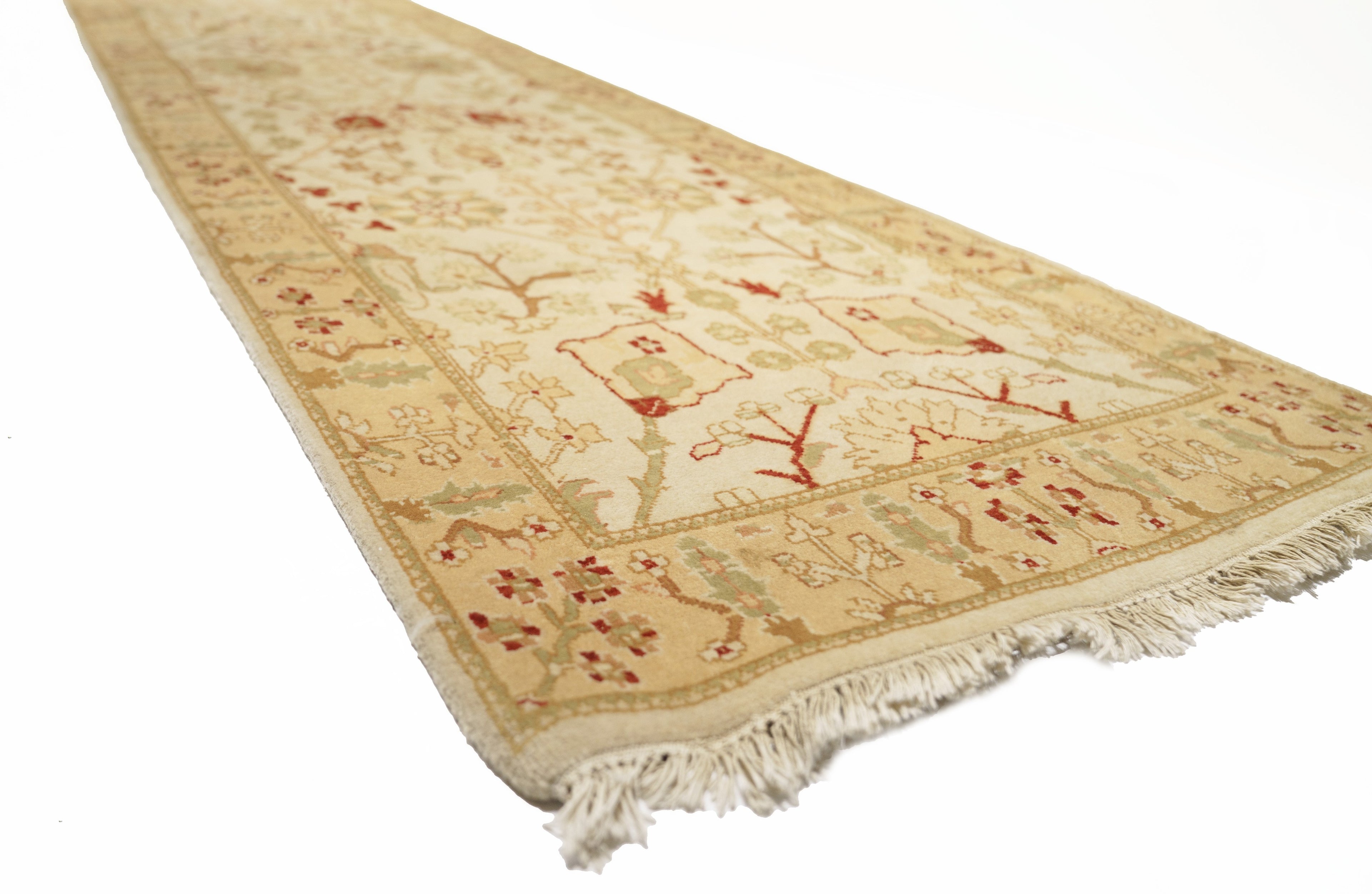 40051 Indo-Agra Runner