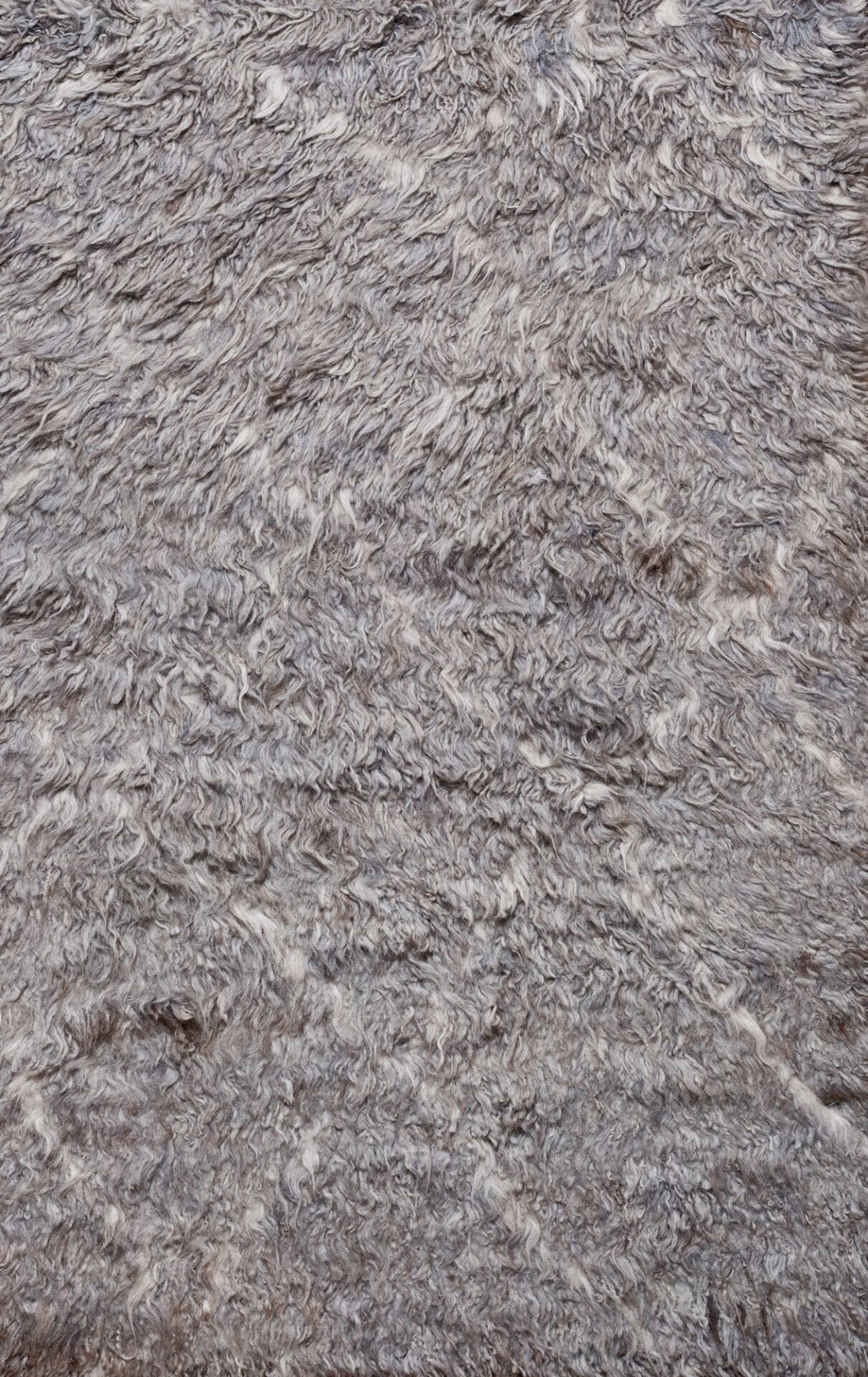 MC 04
